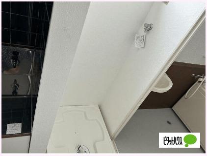 テラスフルール（301） 部屋画像