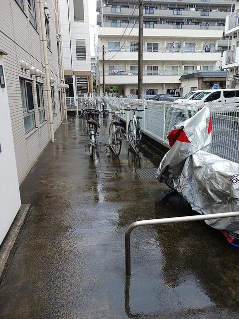 ベル　エミール（305） その他部屋・スペース