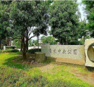 公園：250m