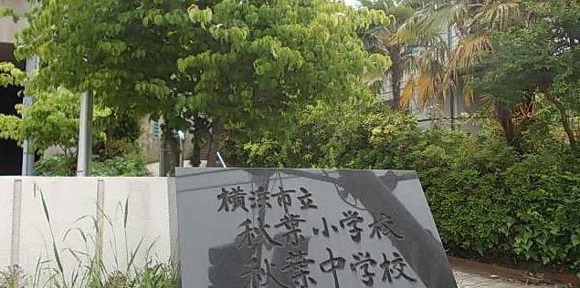 秋葉小学校：557m