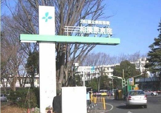 国立相模原病院：300m