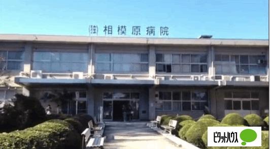 独立行政法人国立病院機構相模原病院：1179m