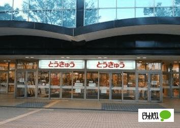 湘南とうきゅう：885m