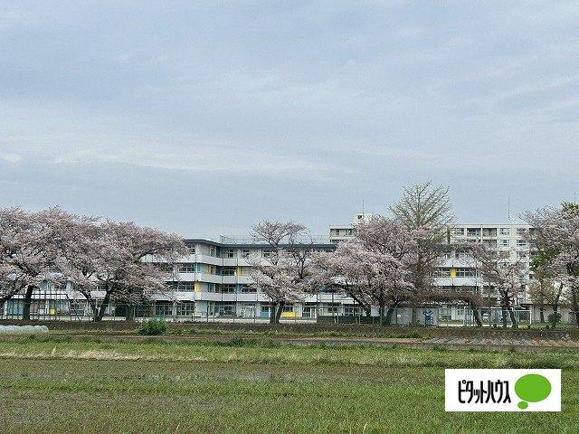 海老名市立中新田小学校：899m