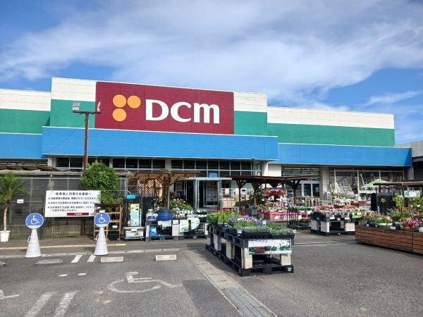 DCM：800m