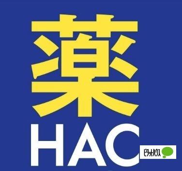 ハックドラッグ辻堂新町店：579m