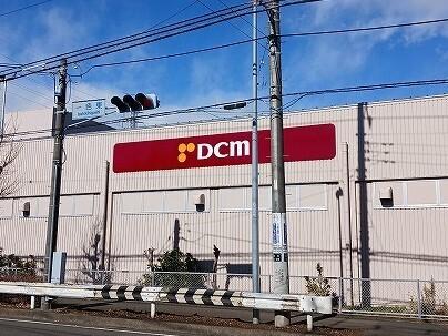 DCM：1100m