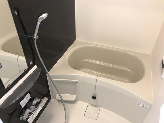 メゾンアイリス湘南Ⅱ 部屋画像