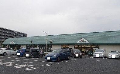 マルエツ：1100m