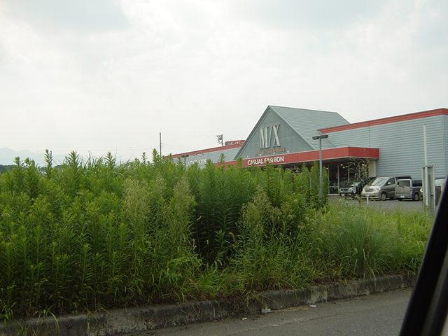 ＭＸ（洋品店）：200m