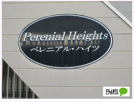 ペレニアルハイツ（101） その他