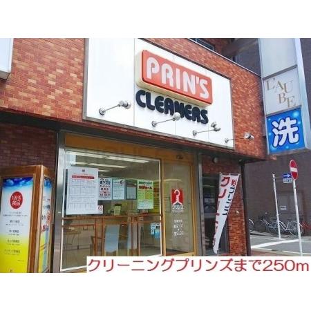 クリーニングプリンズ：250m