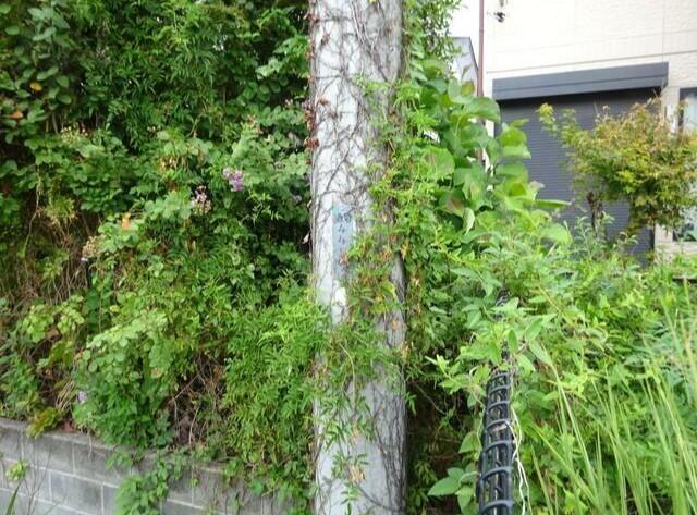 住宅用地/-小田原市酒匂５丁目 その他