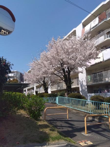 あやせグリーンハイツ 外観