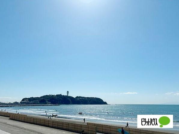 ハウス鵠沼海岸 その他