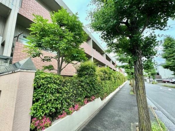 ヒルハイツ藤が丘二番館 外観