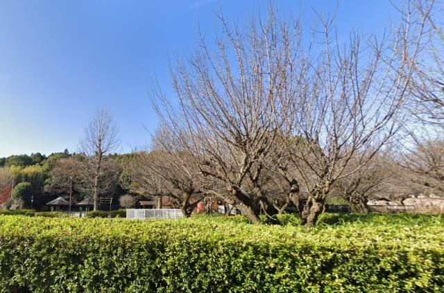 公園