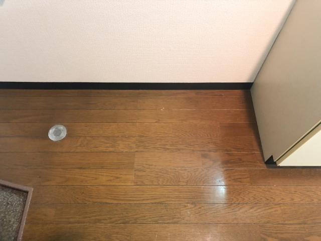 ルピナス美園（302） 室内