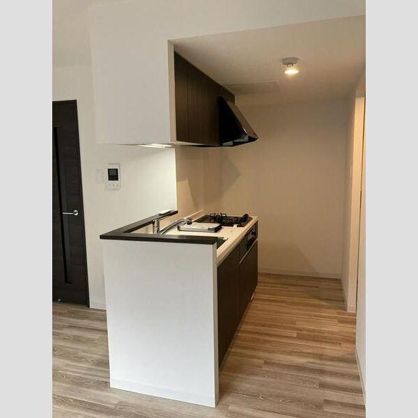 FUTABA SQUARE　N21（208） キッチン