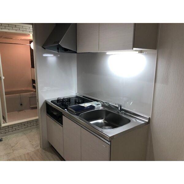 ミラネーゼ大通東　南館（205） キッチン
