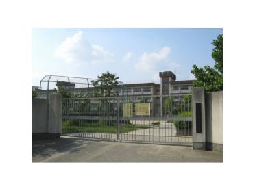 豊島北小学校：294m