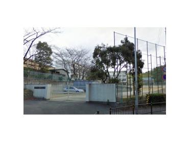 東泉丘小学校：842m