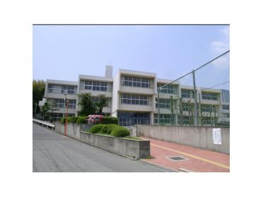 新田小学校：713m