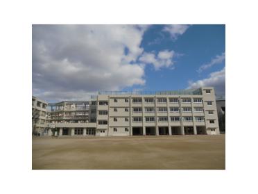 桜井谷東小学校：594m
