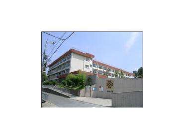 緑地小学校：263m