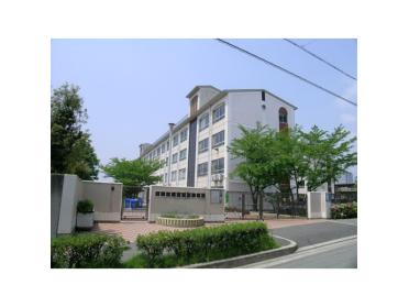 新田南小学校：417m