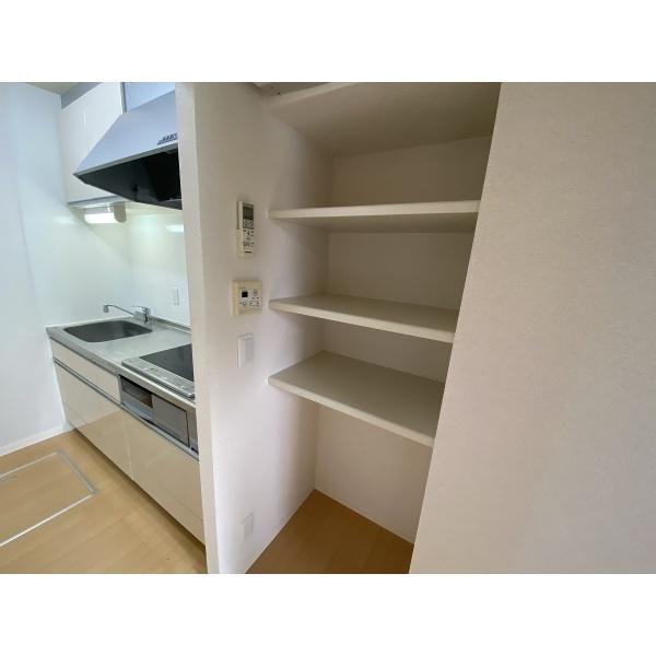豊中市上新田マンション 収納