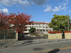 野畑小学校：300m