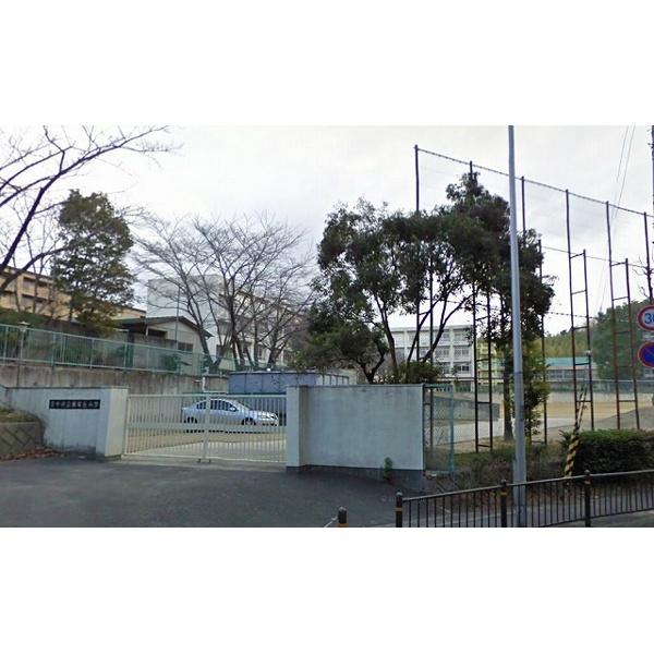 東泉丘小学校：842m