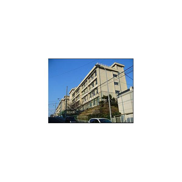 第一中学校：602m