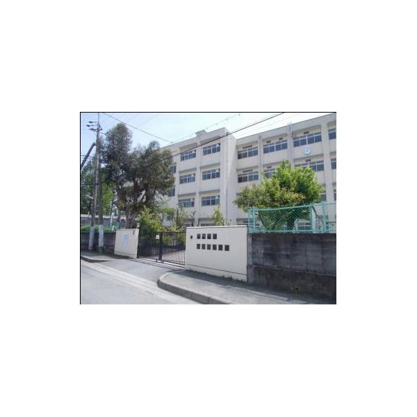 第十五中学校：464m
