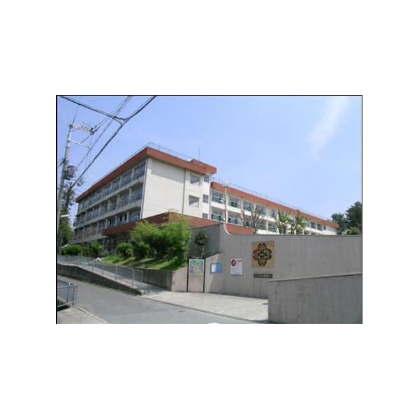 緑地小学校：376m