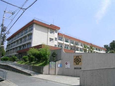 緑地小学校：263m