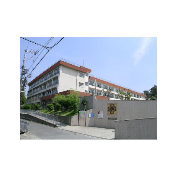 緑地小学校：876m