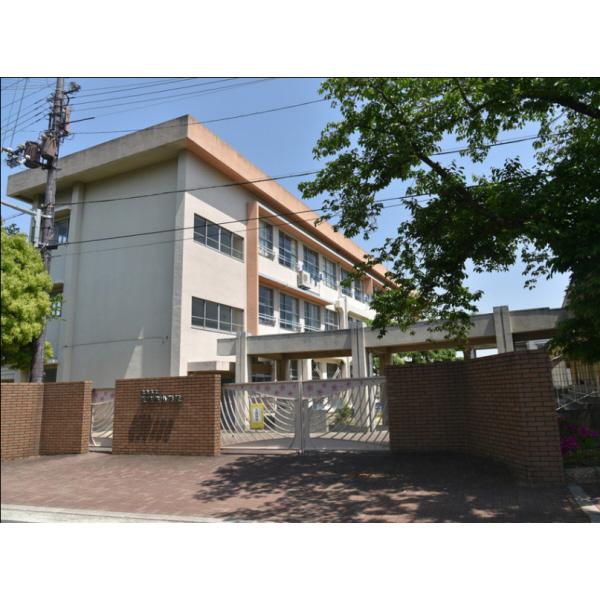 桜井谷小学校：542m