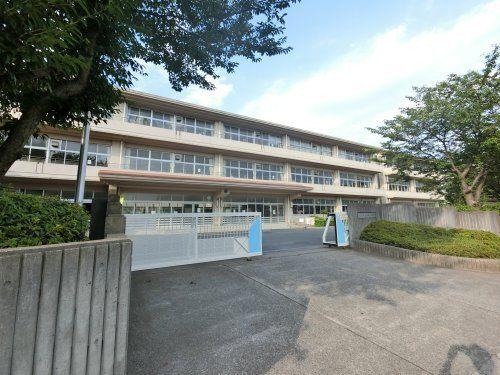 佐倉市立寺崎小学校：303m
