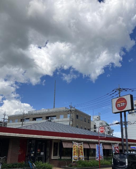 ガスト佐倉店（から好し取扱店）：384m