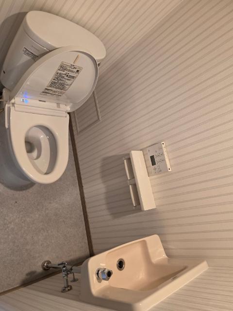 ライオンズガーデンシティ成田 トイレ