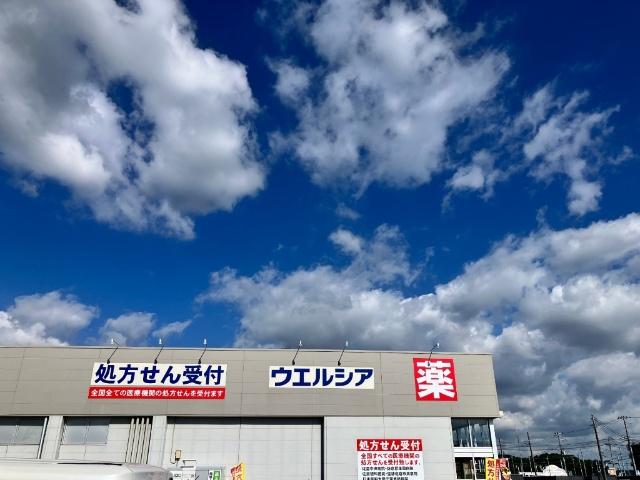 ウエルシア佐倉鏑木店