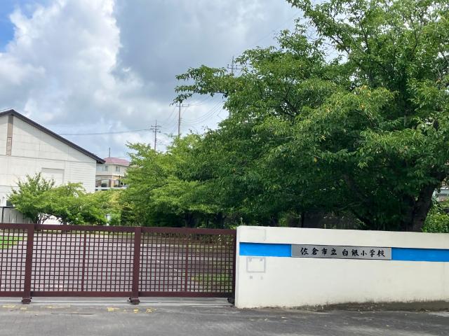 佐倉市立白銀小学校