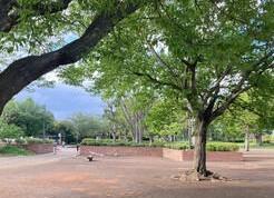 八街中央公園