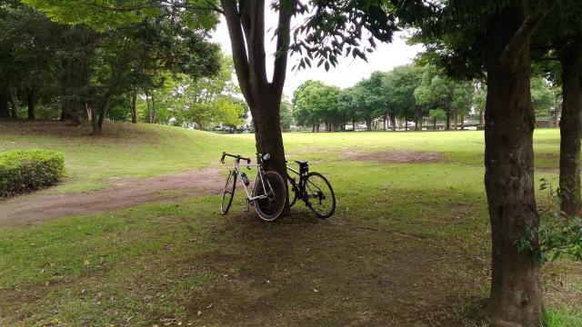 公園