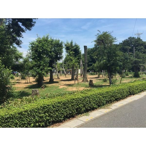 宮内緑地公園：82m