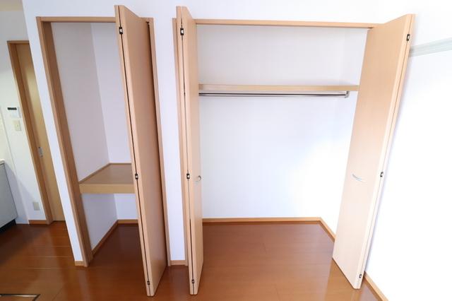 ｏｎｌｙ ｏｎｅ しまの（101） 部屋画像