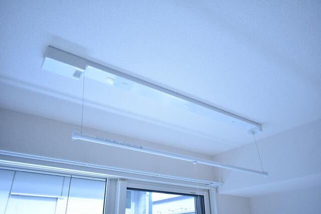 エヴァーラスティング桶川（206） 部屋画像