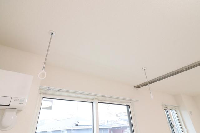 CLASSEUM桶川泉　Ⅴ（206） 部屋画像